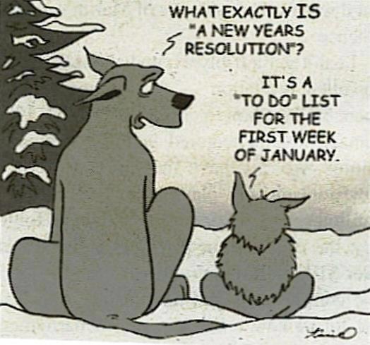 New Year's Resolution cartoon