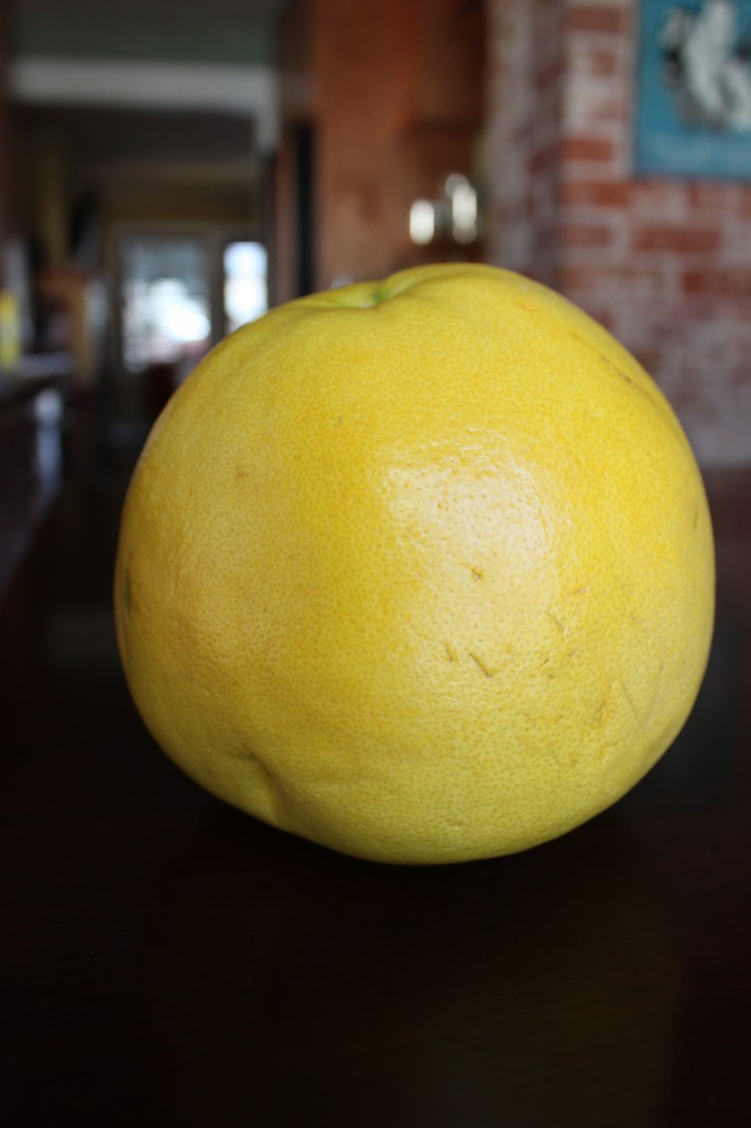 Pomelo